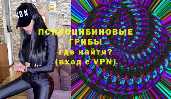 герыч Пересвет